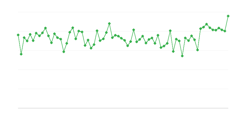 Macellazione di bovini